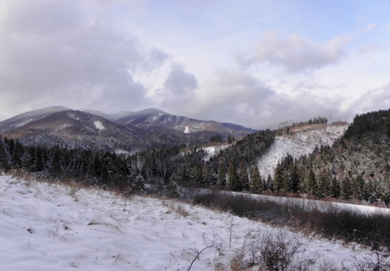 poľovný chotár - Bystrička
