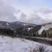 poľovný chotár - Bystrička