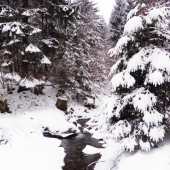 Vianočná pohoda v doline