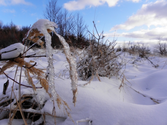 trošku som sa bavil