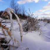 trošku som sa bavil