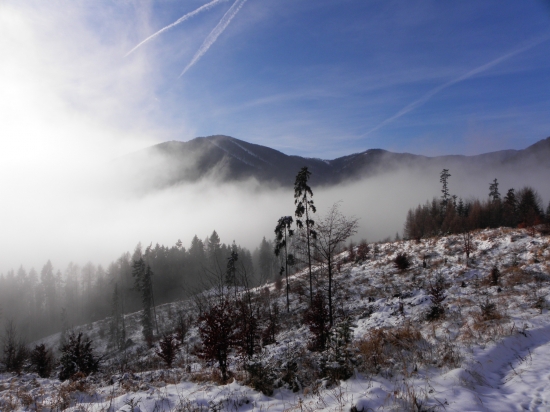 novoročná inverzia