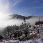 novoročná inverzia