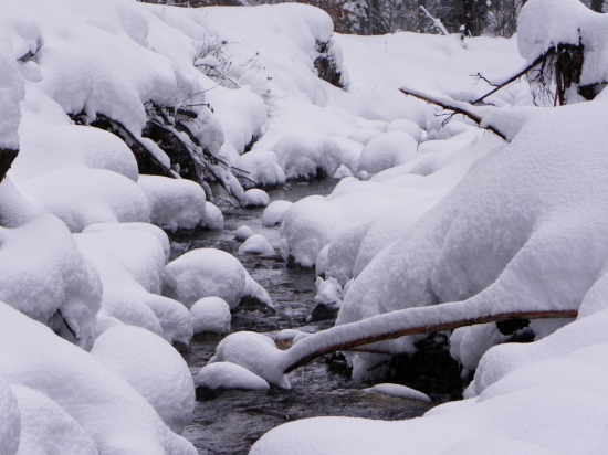 potôčik sa prediera aj ta