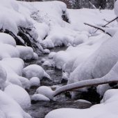 potôčik sa prediera aj ta