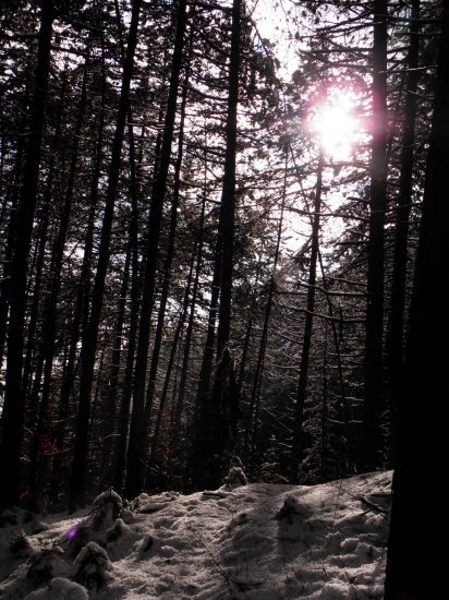 predierajúce sa lúče