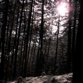 predierajúce sa lúče