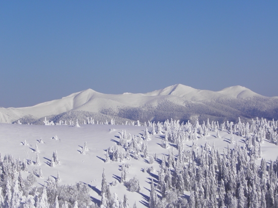 na snežnicia sa tam dalo :))