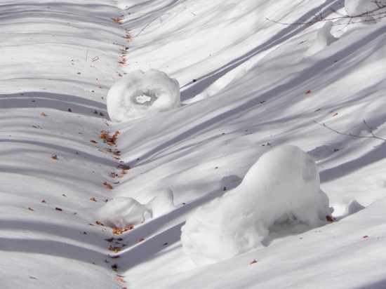 asi medvede si už púšťali :))