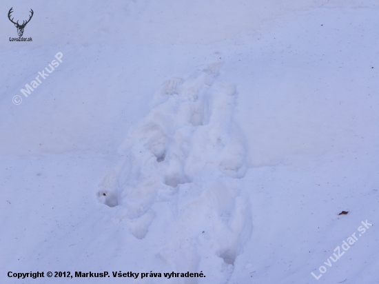 Keď medvedica do kopca nevládze!!