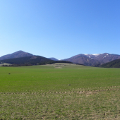 Hole a končiar v kope :)