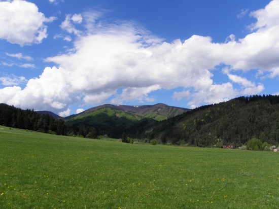 chotár
