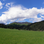 chotár