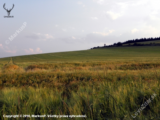 v pozadí posed