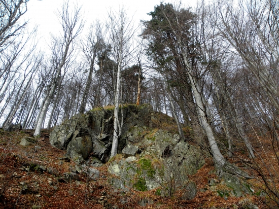 Na marianovom grúni