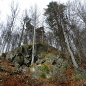 Na marianovom grúni