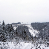 ako pokosené holiny