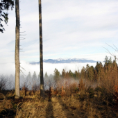 Inverzia_3 iný pohľad