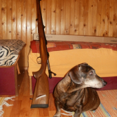 moja nova čz 550 FS