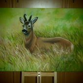 Poľovnícky Obraz - Srnec na Lúke