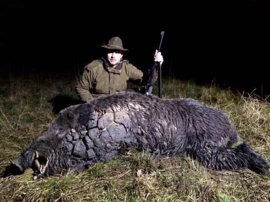 Monster boar