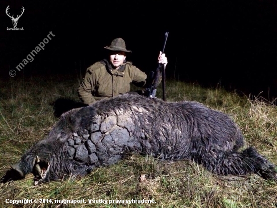 Monster boar