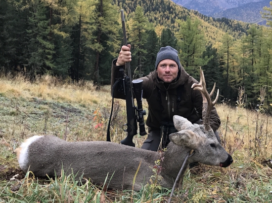 Sibiřský srnec. Kasul