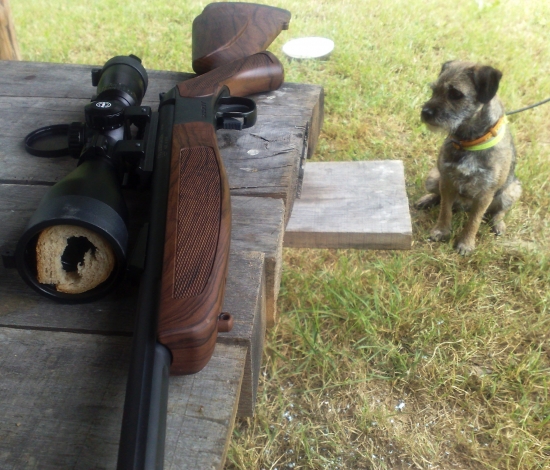 Bergara scout 308W