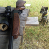 Bergara scout 308W