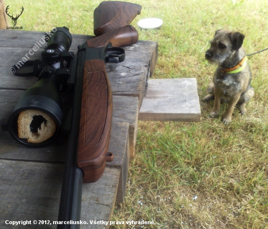 Bergara scout 308W