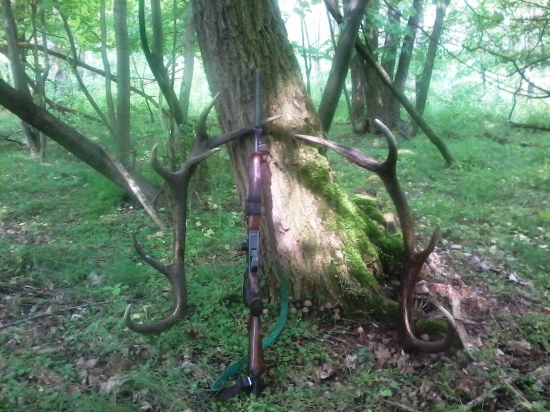 Jarná prechádzka s prekvapením