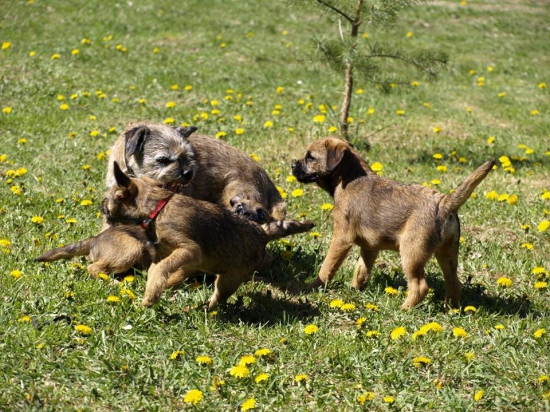 Milý úsmev otec :)