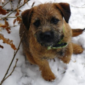 Borderská slečinka