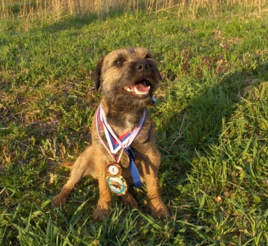 brlohár AX SLOVAKIA LUTRA