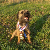 brlohár AX SLOVAKIA LUTRA