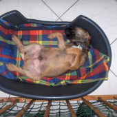 To je pohoda