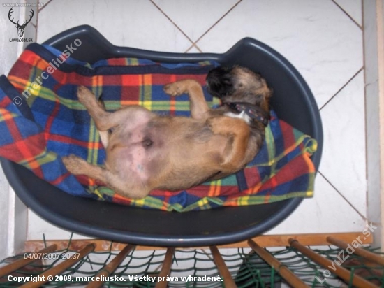 To je pohoda