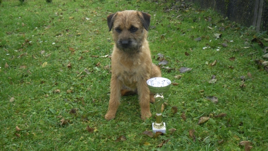 Úspešné FD. Brown Bery Slovakia Lutra (Ejuška) :-)