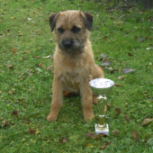 Úspešné FD. Brown Bery Slovakia Lutra (Ejuška) :-)