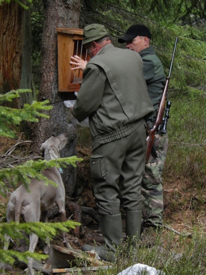 Založenie nového soliska
