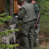 Založenie nového soliska