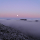 jedno s krasnych jesennych ran