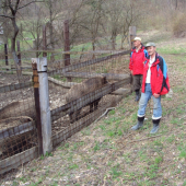 OTEC A DIVIAKY V OBORE