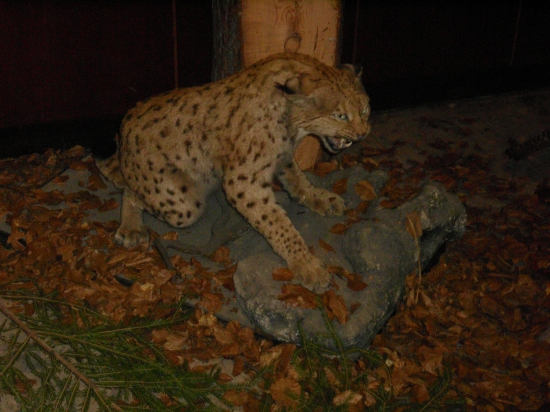 PEKNA PRACA PREPARATORA