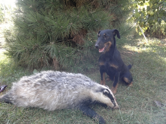 dohladavka trochu inak