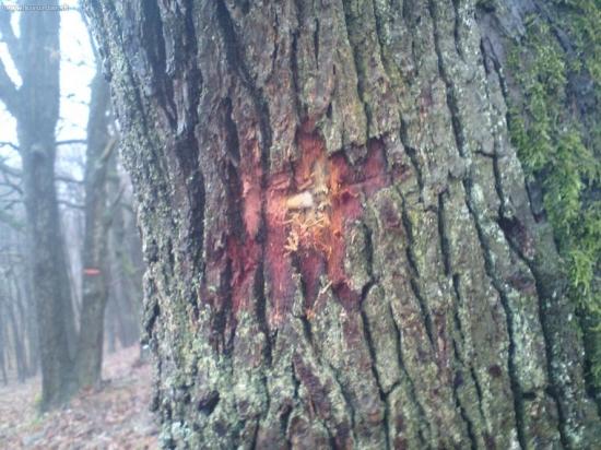 pomocka k fonke 45326