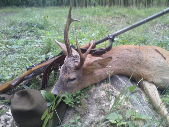 dnes stala diana na mojej strane