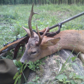 dnes stala diana na mojej strane