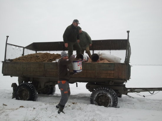 Ďaľšie krmenie po týždni