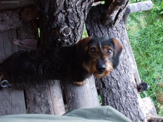 S kamarátkou na posede